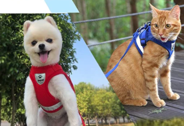 Cat Harness with Leash - Safe and Comfortable | Adjustable