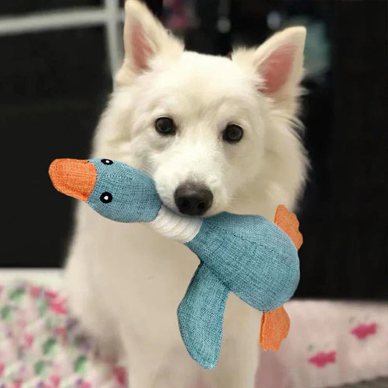 Durable Dog Toy for Dental Care