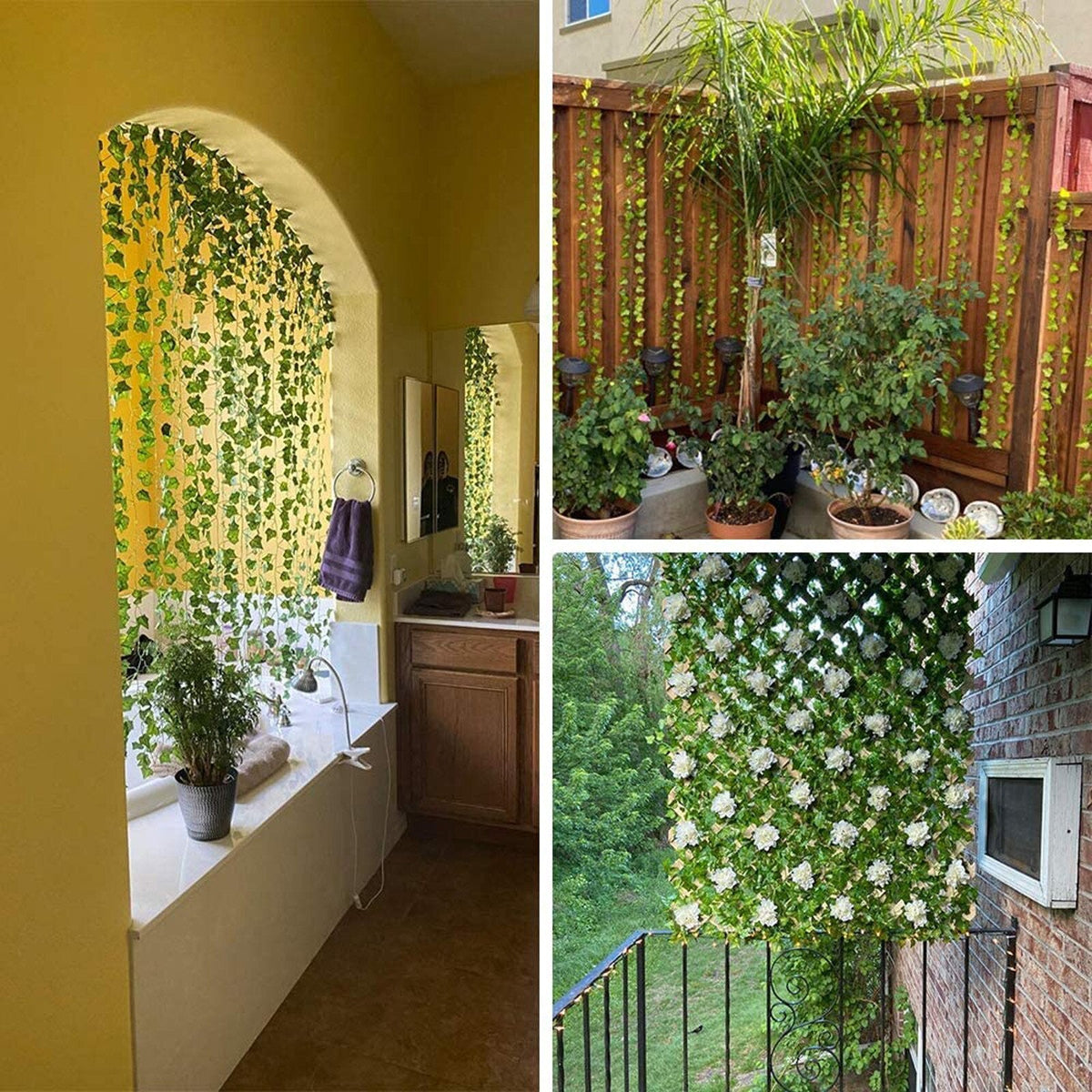 Evergreen | Vibrant and Green Leaves in Every Season