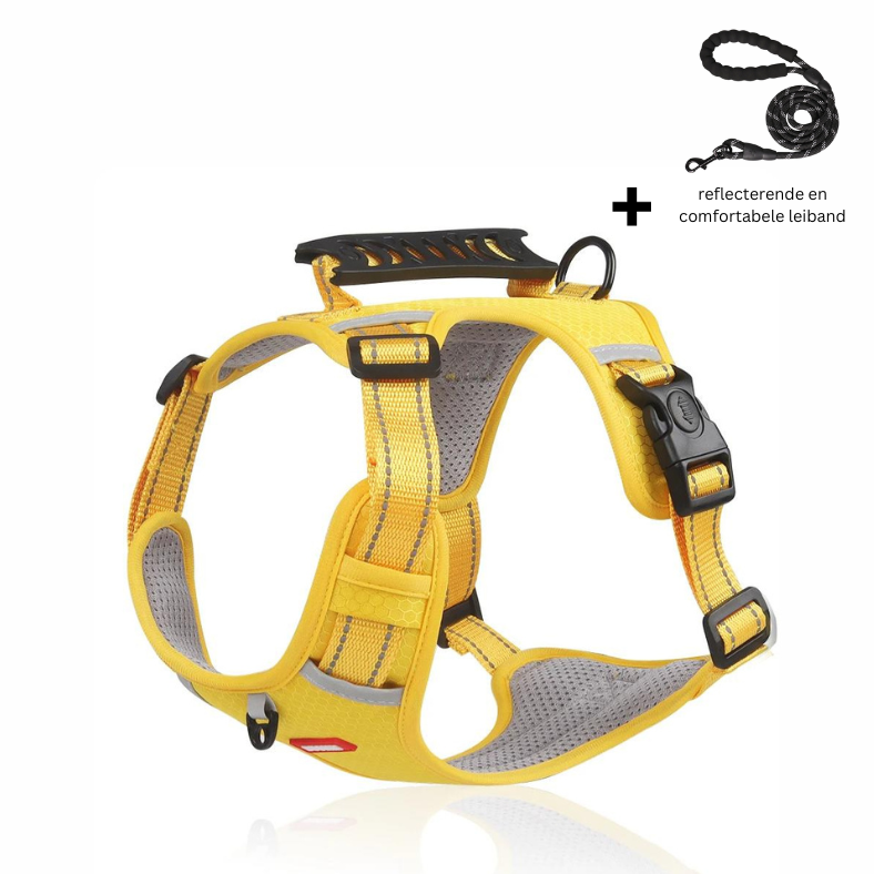 Reflective Dog Harness for Maximum Visibility and Comfort