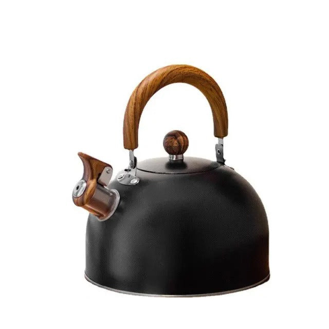 Stainless Steel Whistling Kettle with Insulated Handle