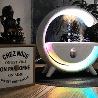 2-in-1 Anti-Gravity Air Humidifier