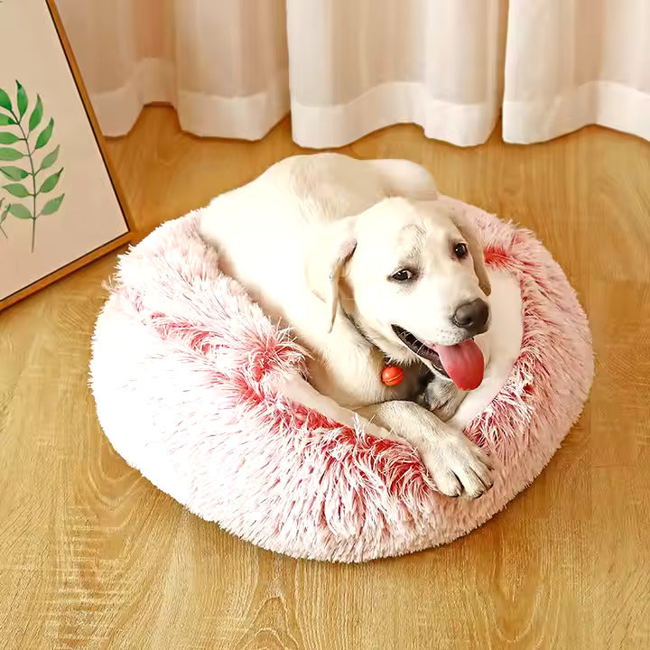 2-in-1 Cozy Dog Cuddle Cave Bed for All Seasons
