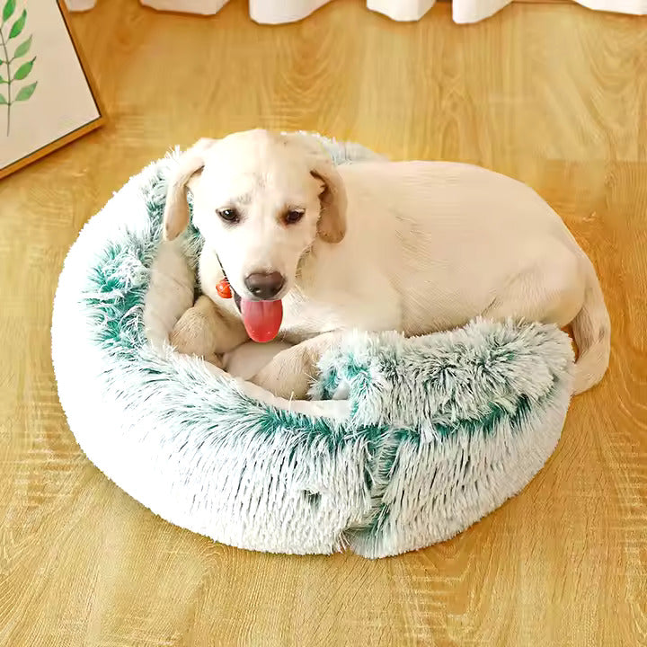 2-in-1 Cozy Dog Cuddle Cave Bed for All Seasons