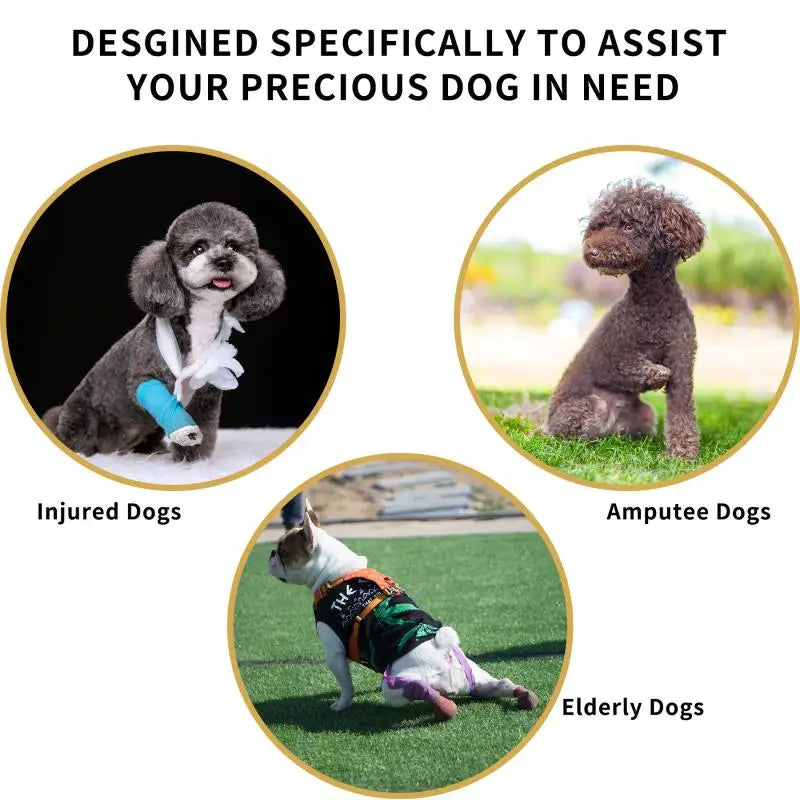 Adjustable Dog Lift Harness for Injured & Senior Pets