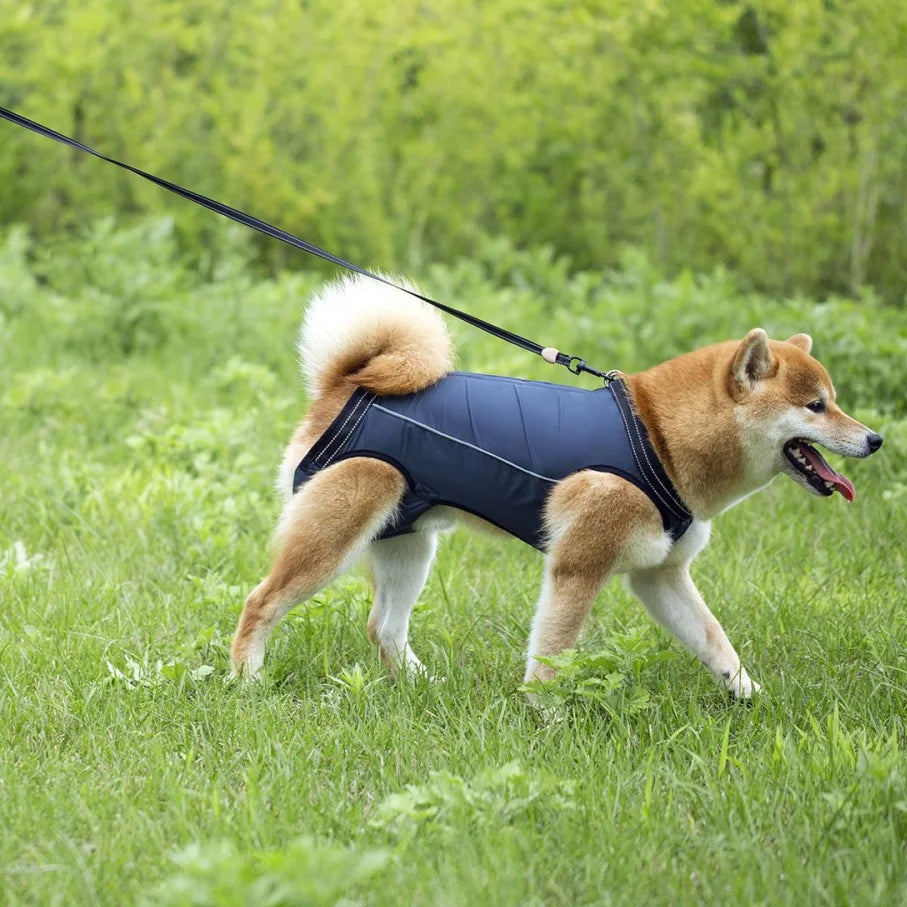 Adjustable Dog Lift Harness for Injured & Senior Pets
