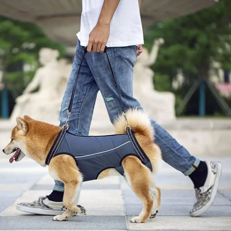 Adjustable Dog Lift Harness for Injured & Senior Pets