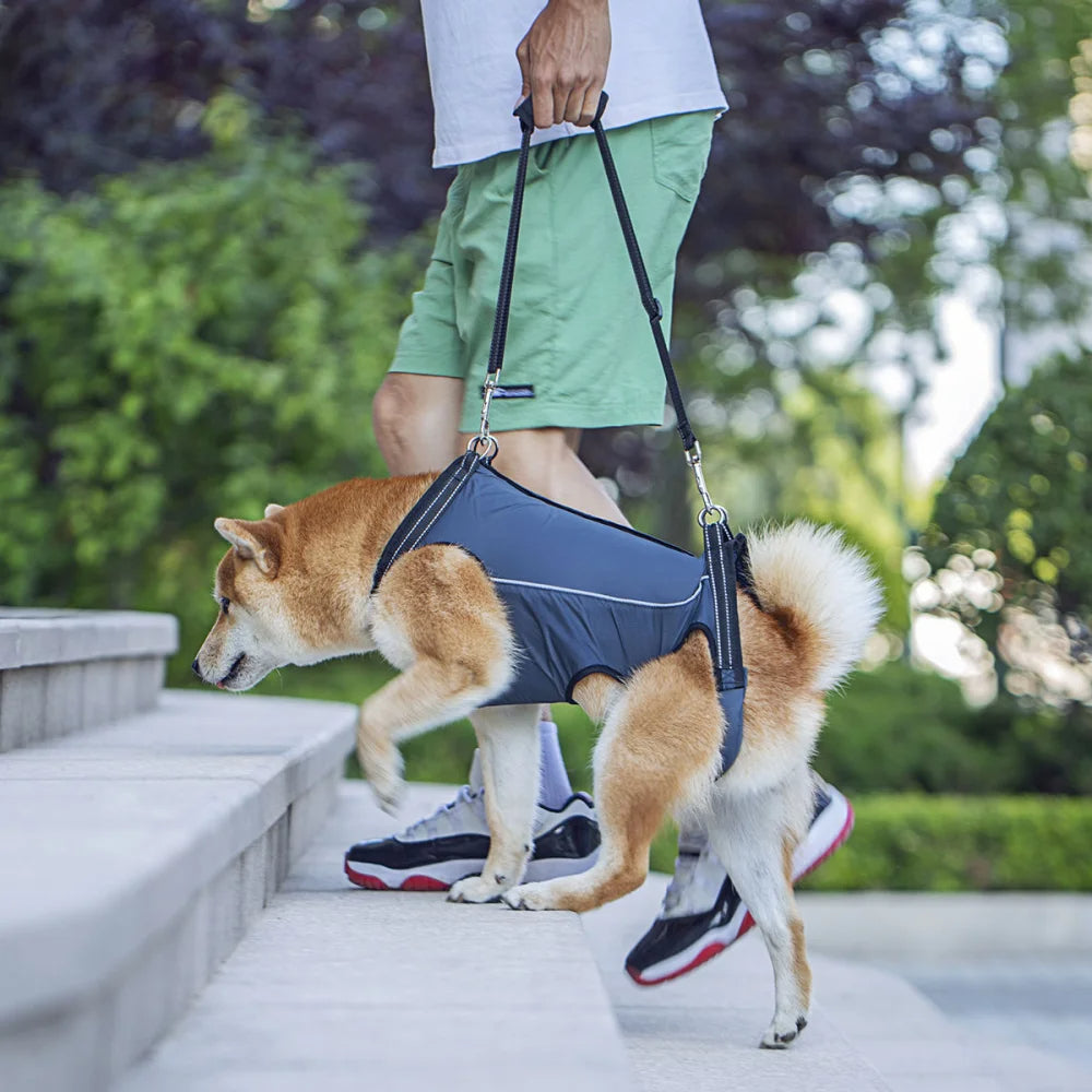 Adjustable Dog Lift Harness for Injured & Senior Pets