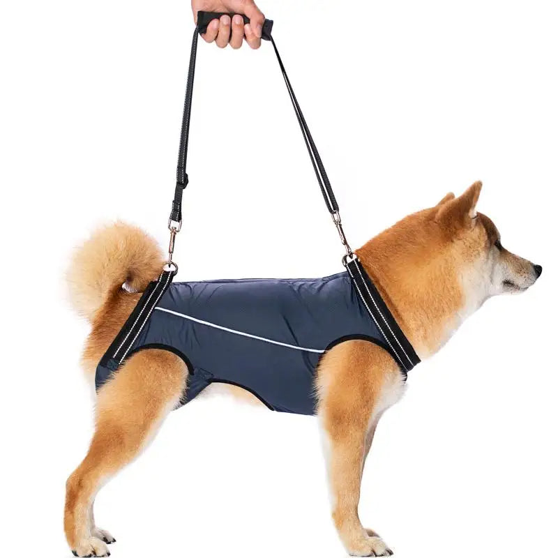 Adjustable Dog Lift Harness for Injured & Senior Pets