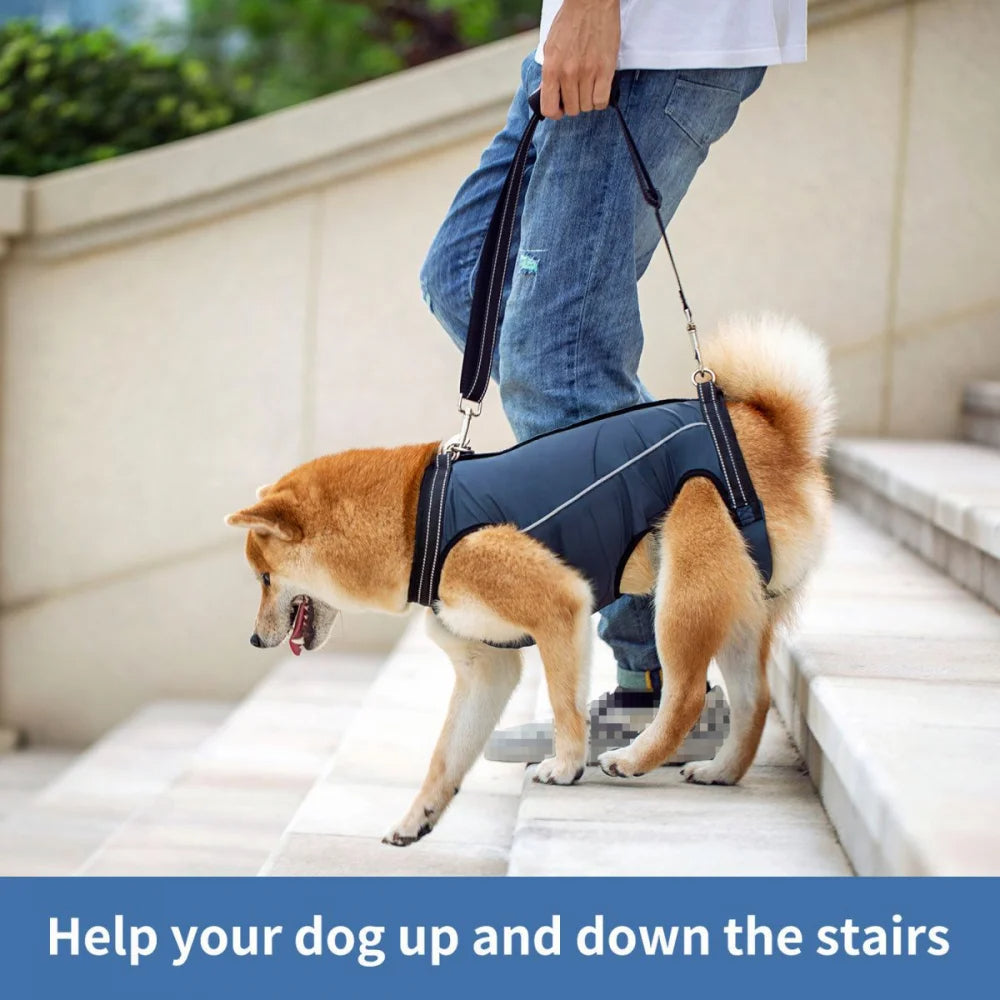 Adjustable Dog Lift Harness for Injured & Senior Pets