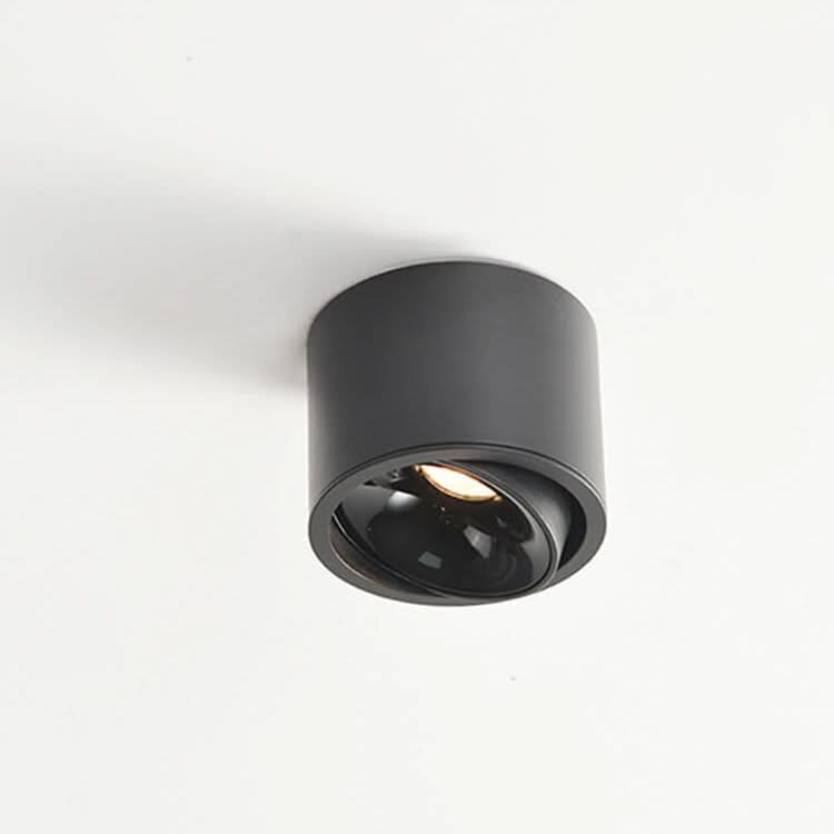 Adjustable LED Flush Mount Ceiling Spotlight