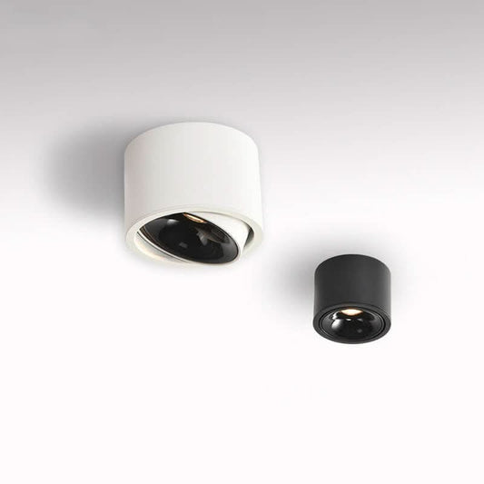 Adjustable LED Flush Mount Ceiling Spotlight