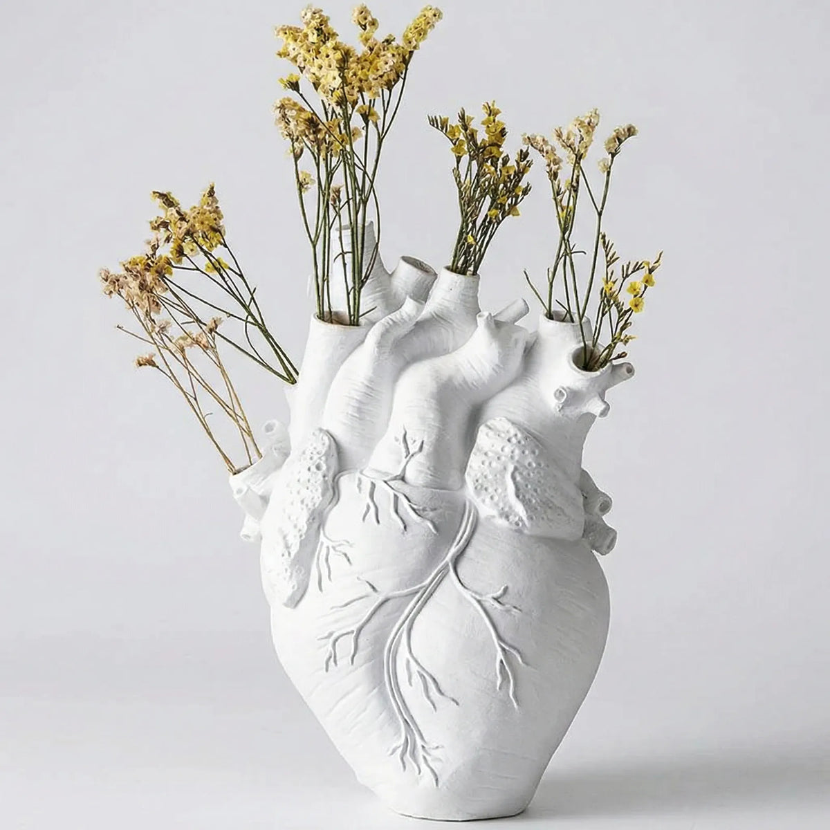 Anatomical Heart-Shaped Vase