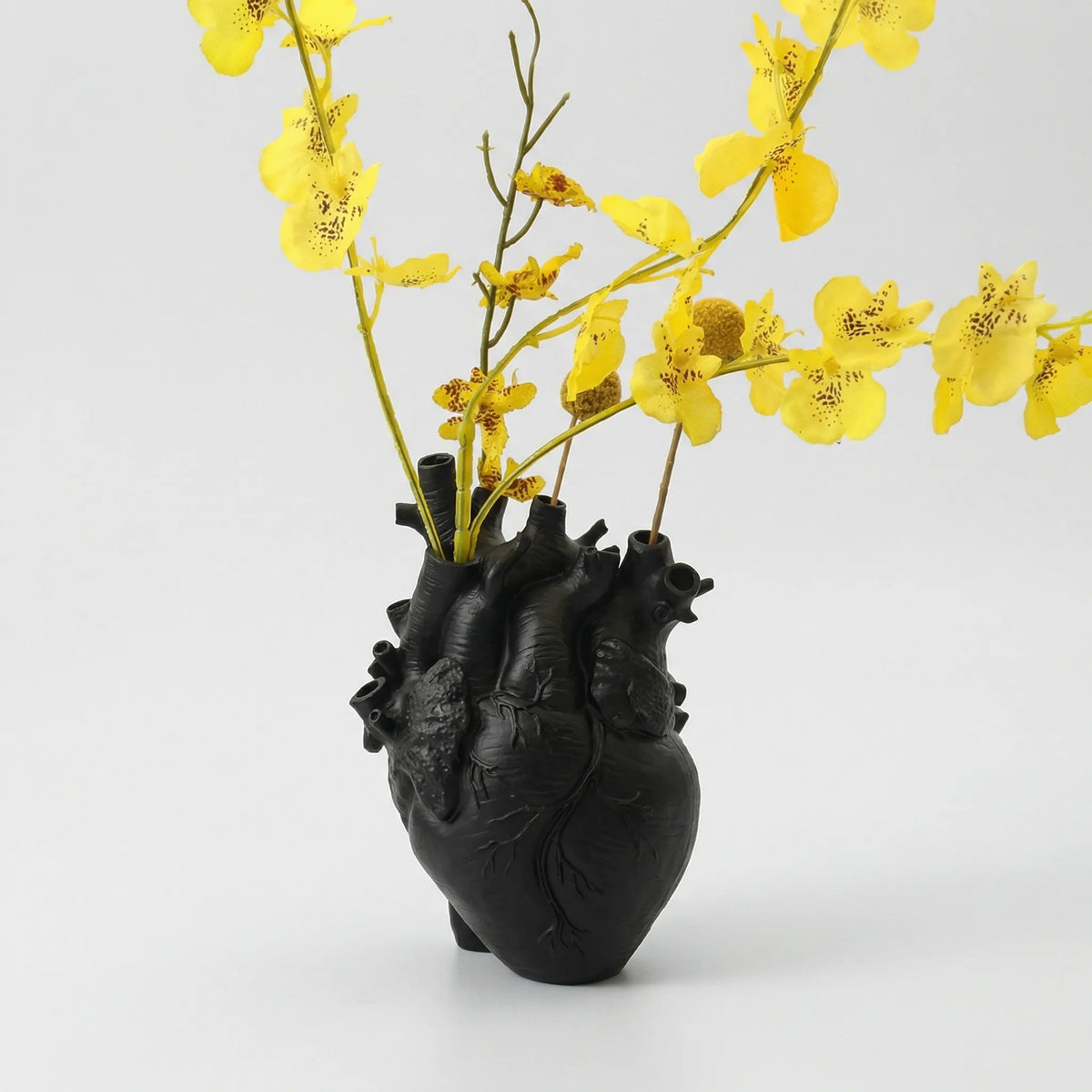 Anatomical Heart-Shaped Vase