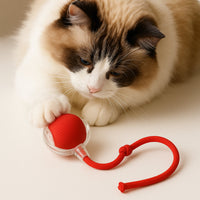 Automatic Chase Ball Cat Toy — Motorized Rolling Sphere with Unpredictable Movement