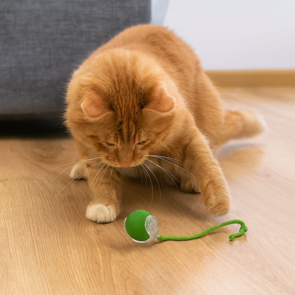 Automatic Chase Ball Cat Toy — Motorized Rolling Sphere with Unpredictable Movement