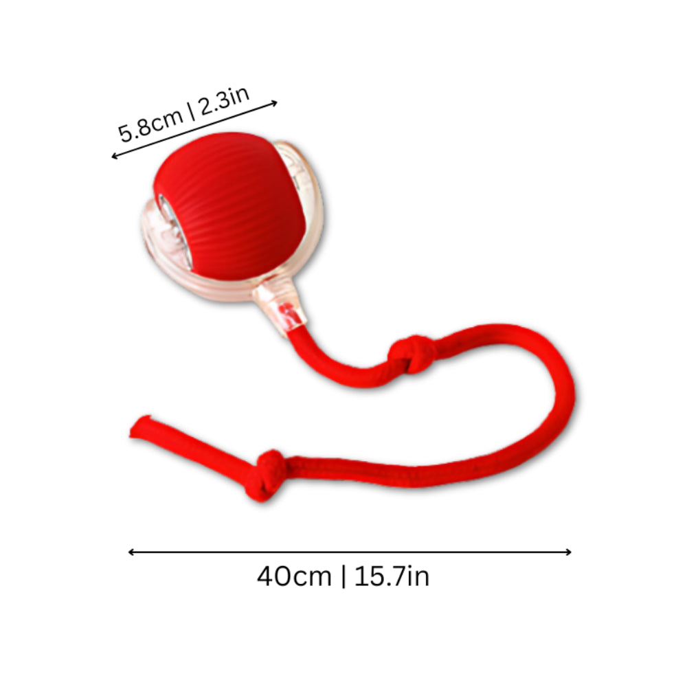 Automatic Chase Ball Cat Toy — Motorized Rolling Sphere with Unpredictable Movement