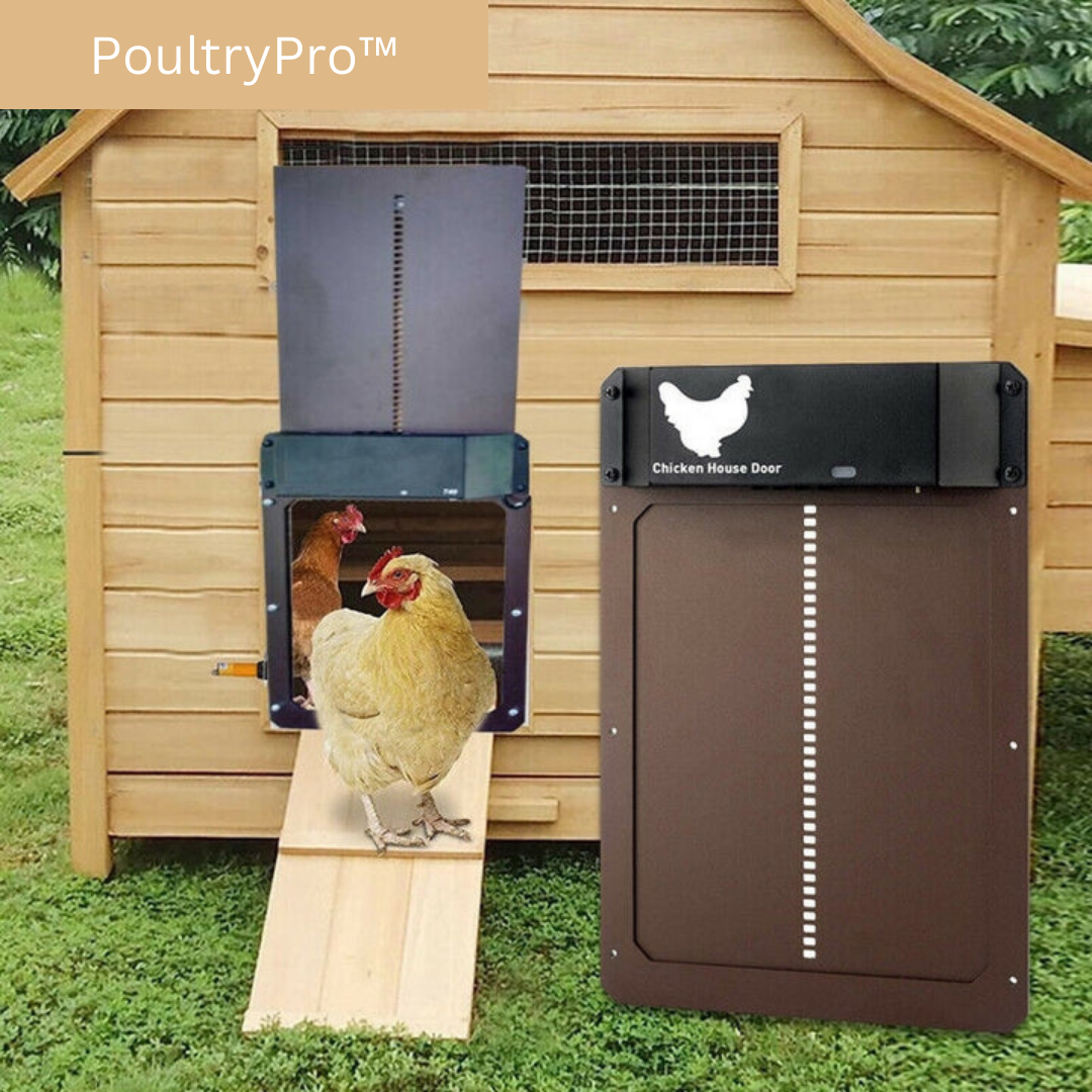 Automatic Chicken Coop Door with Light Sensor - Safe Housing
