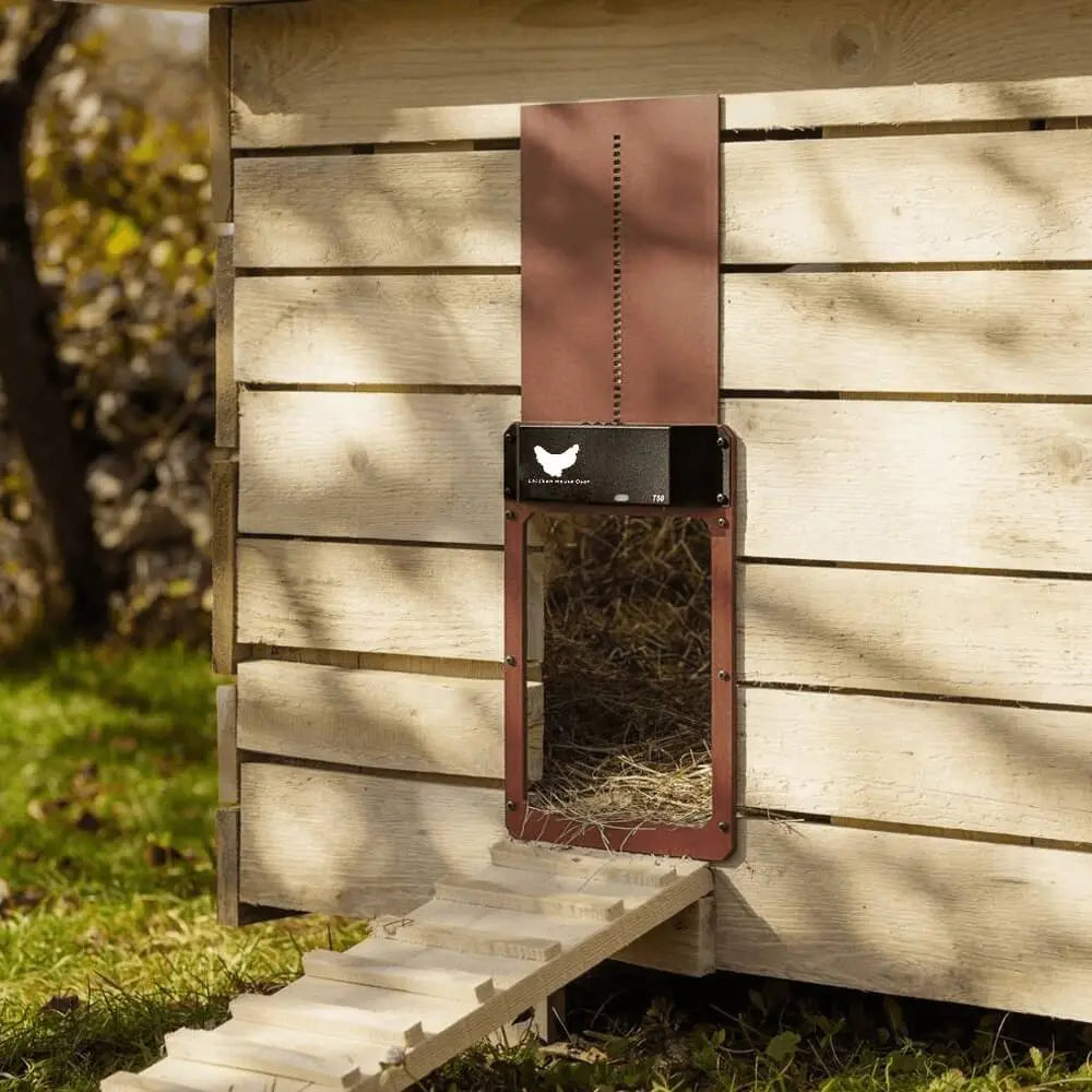 Automatic Chicken Coop Door with Light Sensor – Weatherproof & Safe