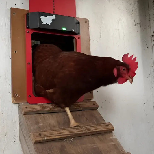 Automatic Chicken Coop Door with Light Sensor – Weatherproof & Safe