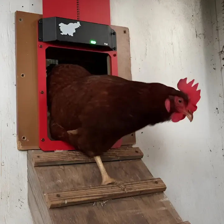 Automatic Chicken Coop Door with Light Sensor – Weatherproof & Safe