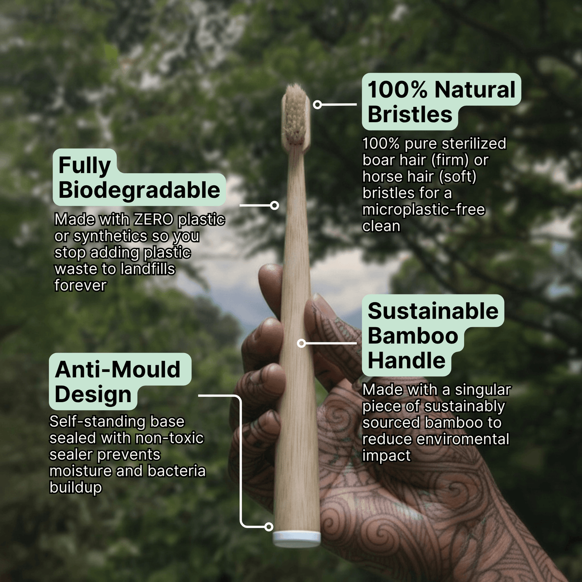 Bamboo Toothbrush Set of 4 with Boar or Horse Natural Bristles