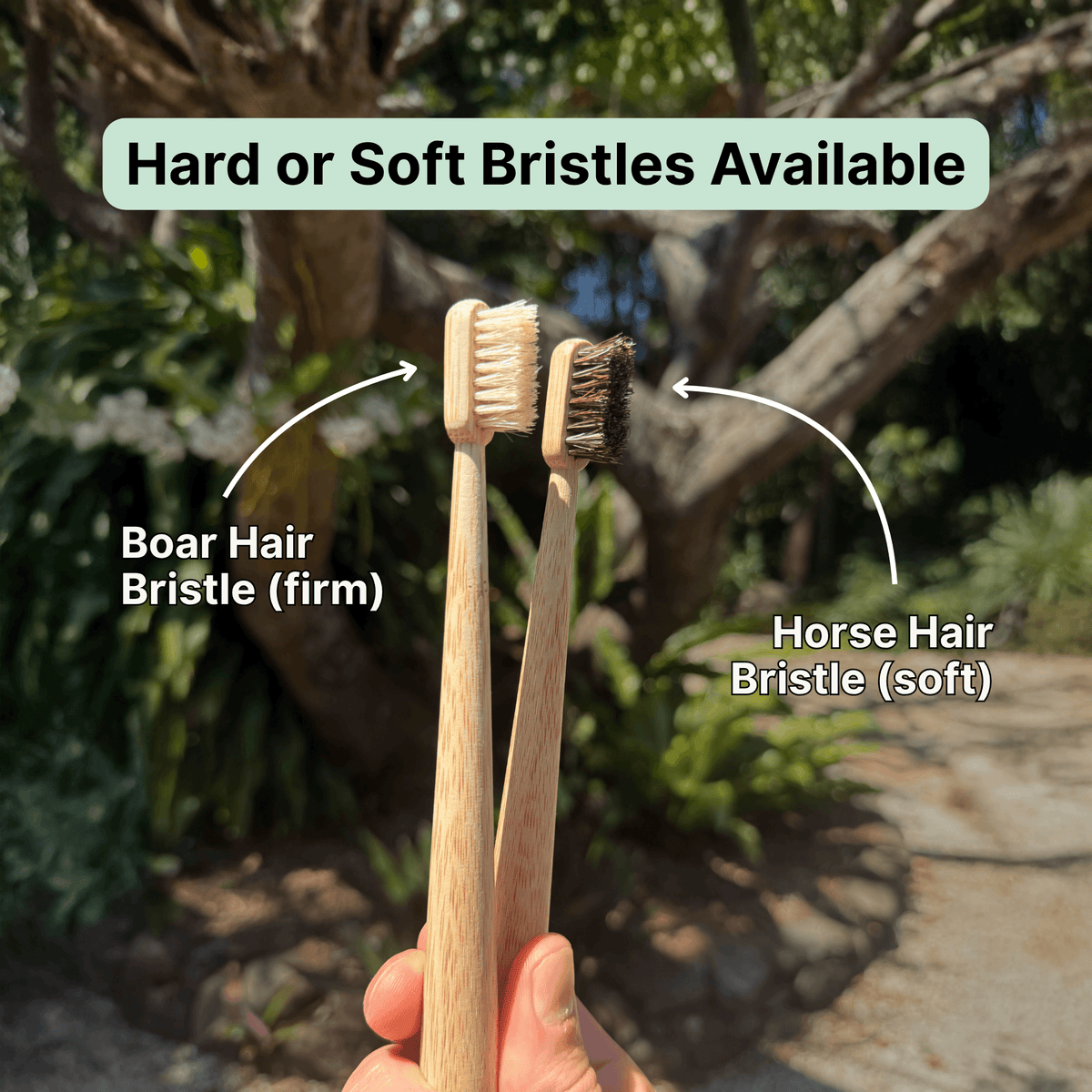 Bamboo Toothbrush Set of 4 with Boar or Horse Natural Bristles