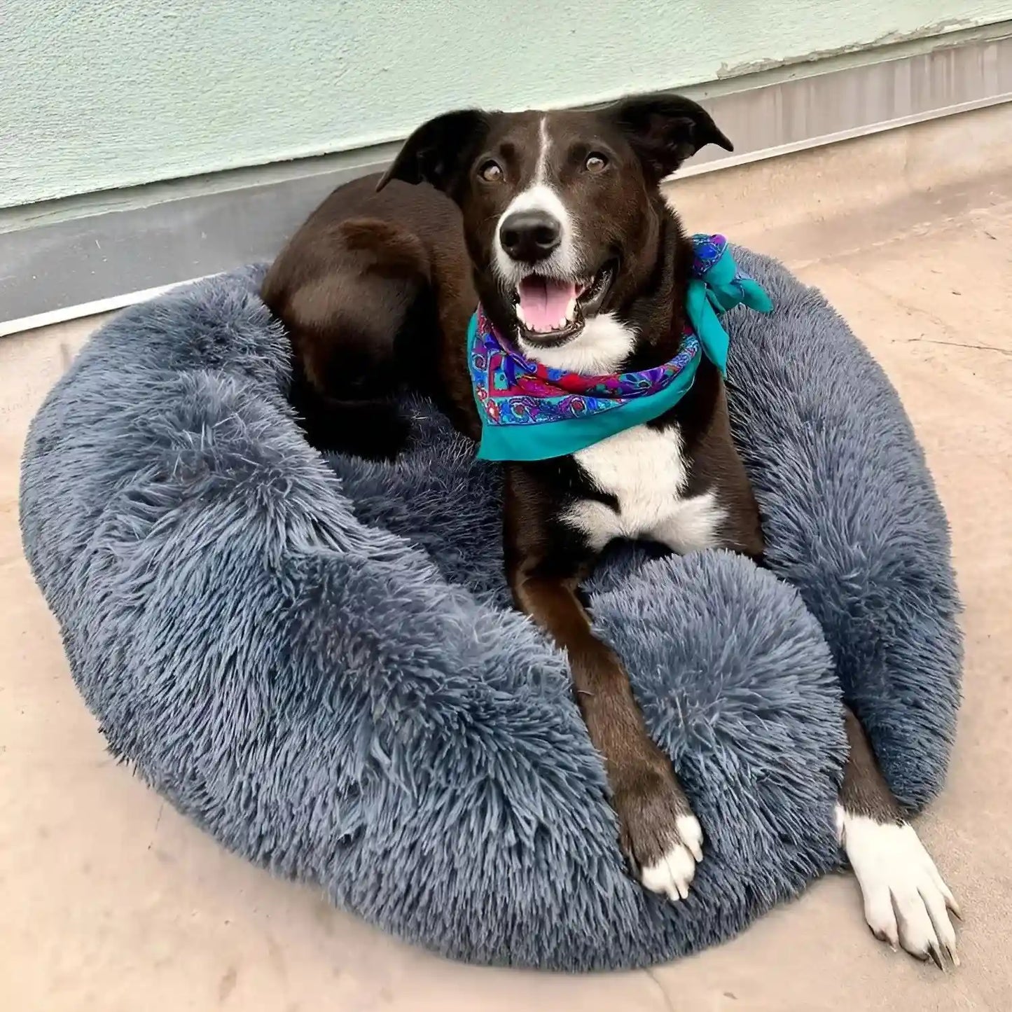 CalmiHund - The Best Anti-Anxiety Dog Bed