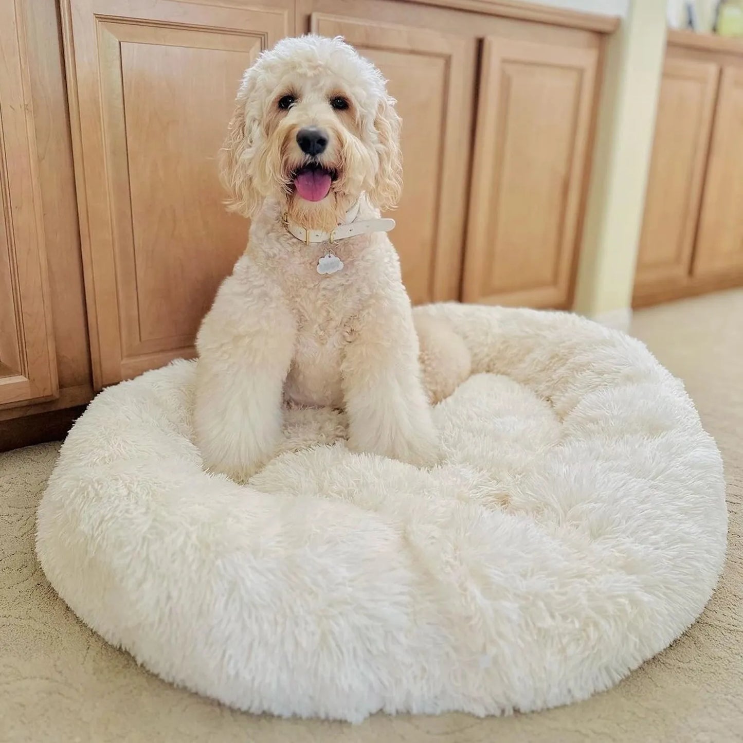 CalmiHund - The Best Anti-Anxiety Dog Bed