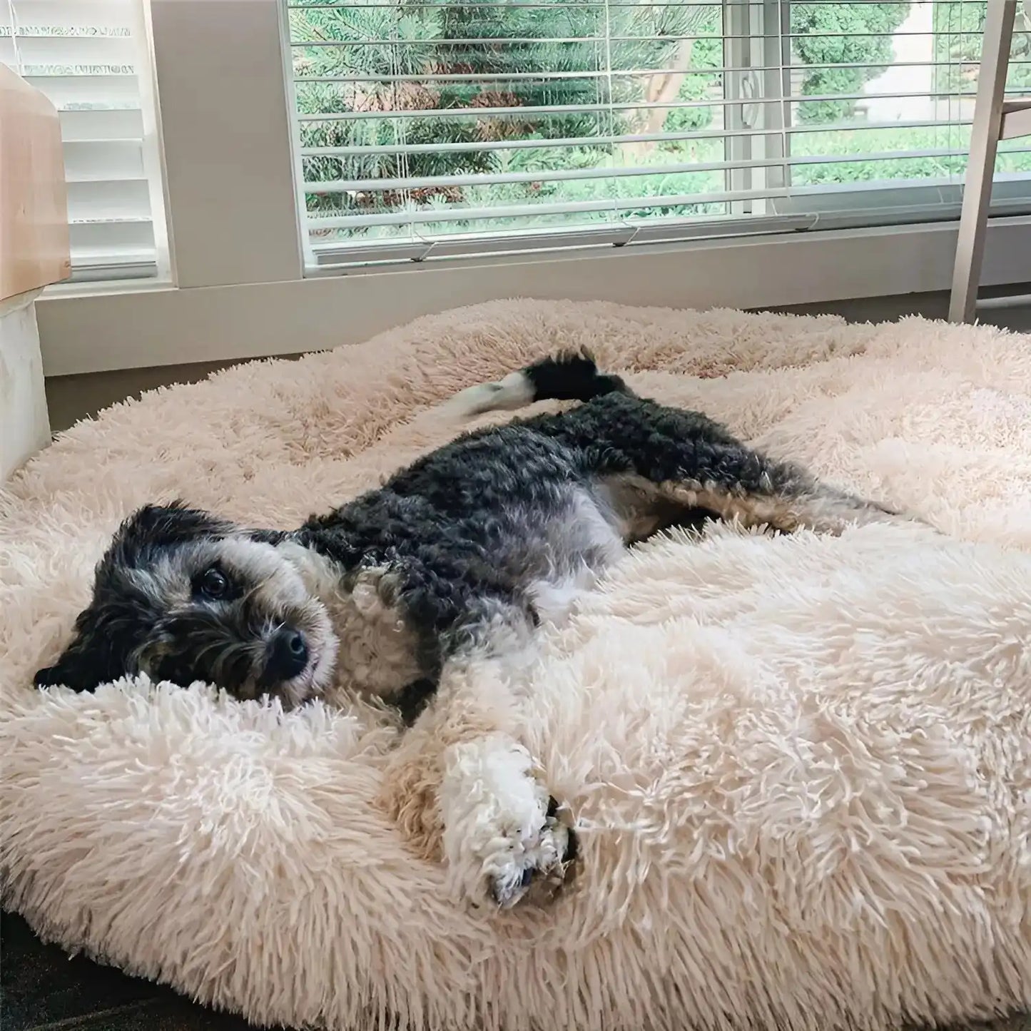 CalmiHund - The Best Anti-Anxiety Dog Bed