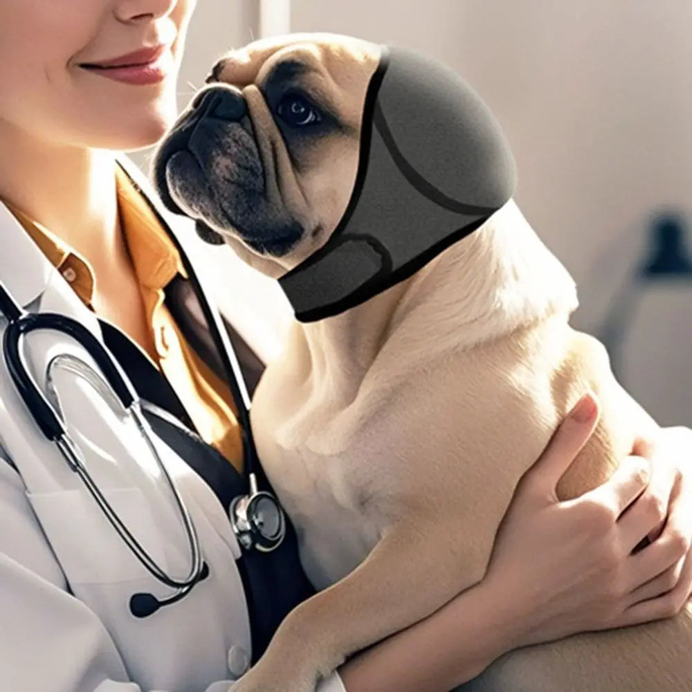 Calming Dog Earmuffs for Noise Reduction & Anxiety Relief