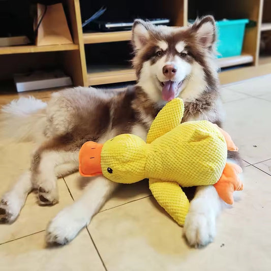 Calming Duck - For the Happiness and Well-being of Your Dog