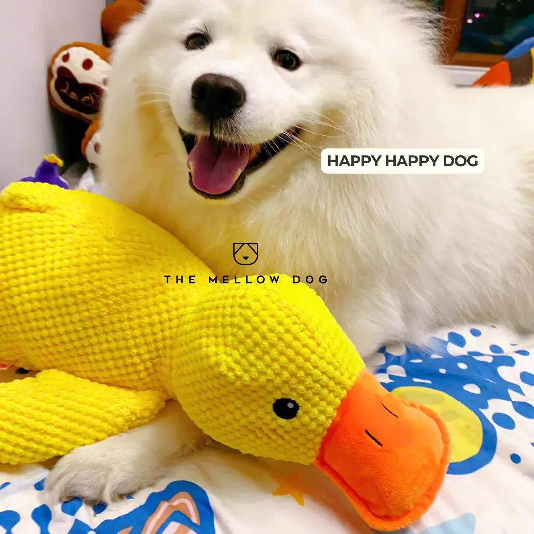 Calming Duck - For the Happiness and Well-being of Your Dog