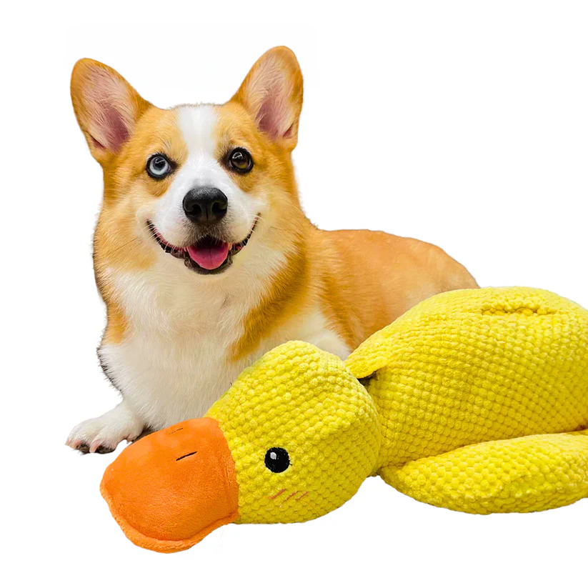 Calming Durable Duck Toy