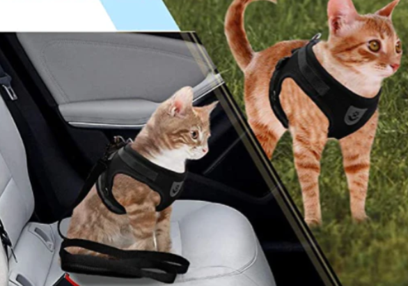 Cat Harness with Leash - Safe and Comfortable | Adjustable