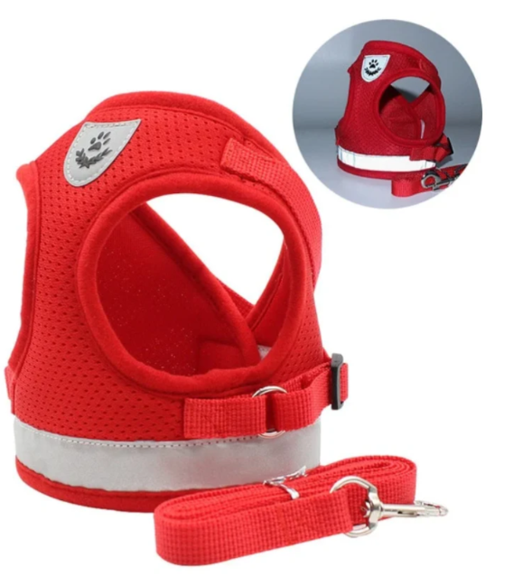 Cat Harness with Leash - Safe and Comfortable | Adjustable