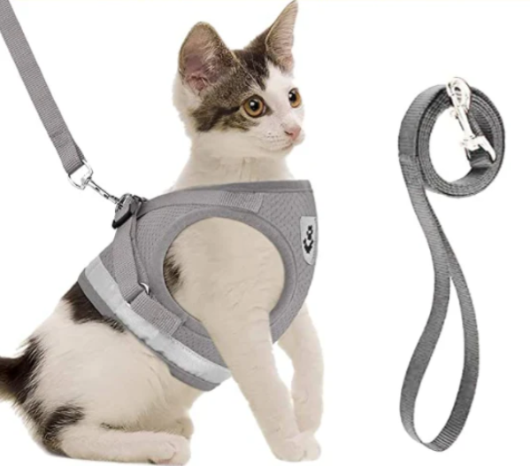 Cat Harness with Leash - Safe and Comfortable | Adjustable