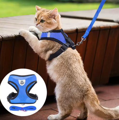 Cat Harness with Leash - Safe and Comfortable | Adjustable