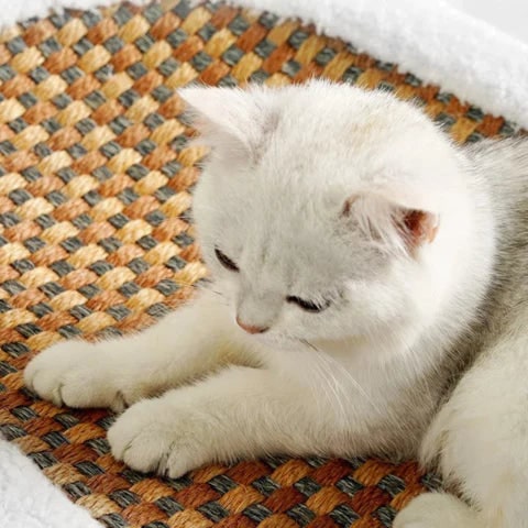 Cat Scratcher Bed and Couch with Plush Fleece Bolster and Woven Mat Cave