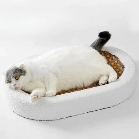 Cat Scratcher Bed and Couch with Plush Fleece Bolster and Woven Mat Cave