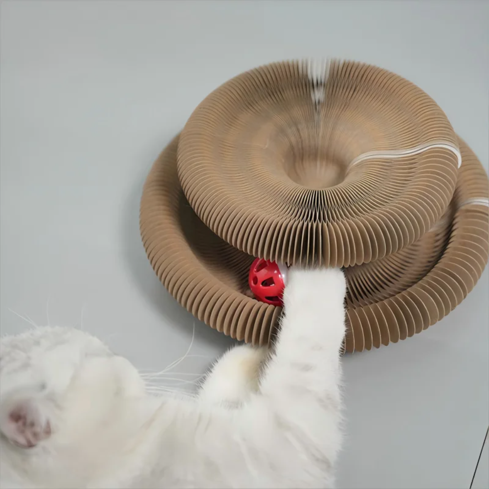 Catfri® - The Cat Scratcher