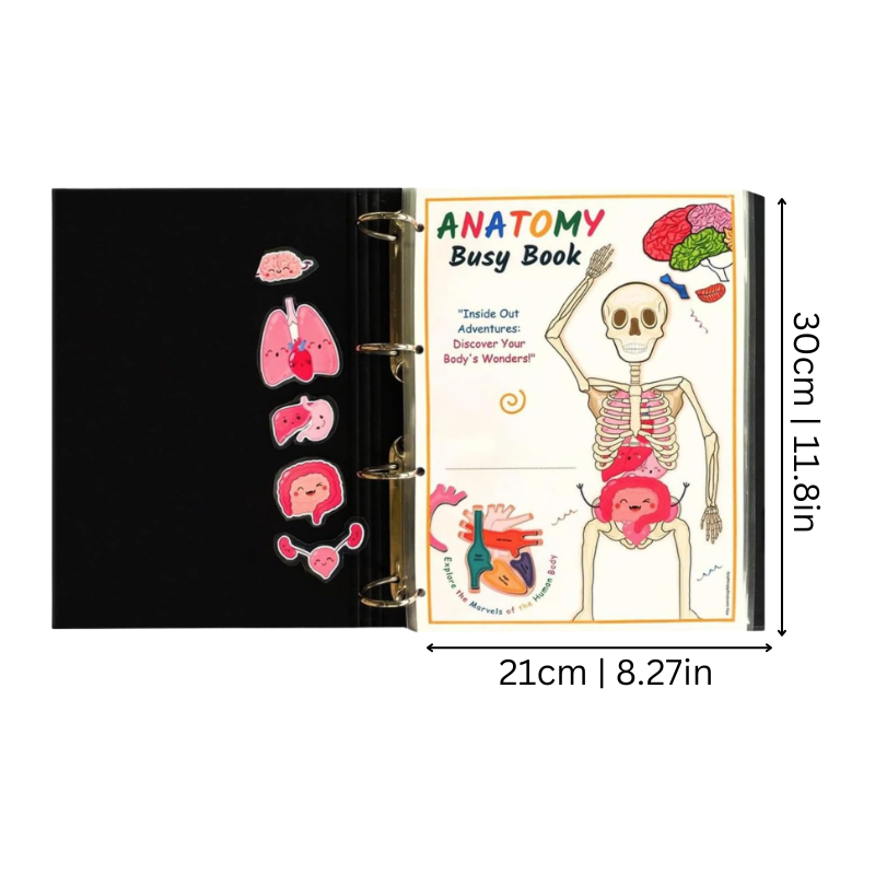 Children's Interactive Human Body Learning Book