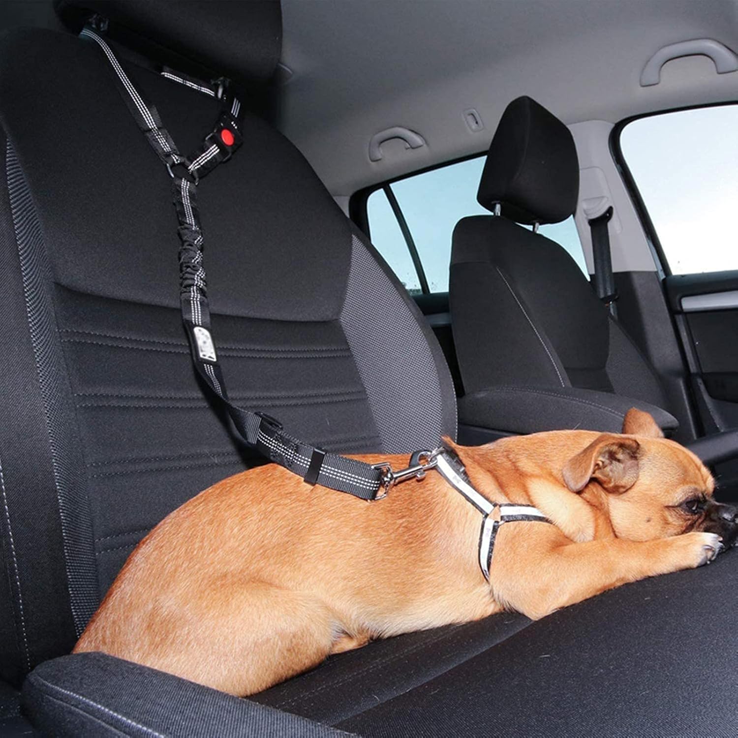 Dog Car Safety Belt - Safety | Comfort | Adjustable