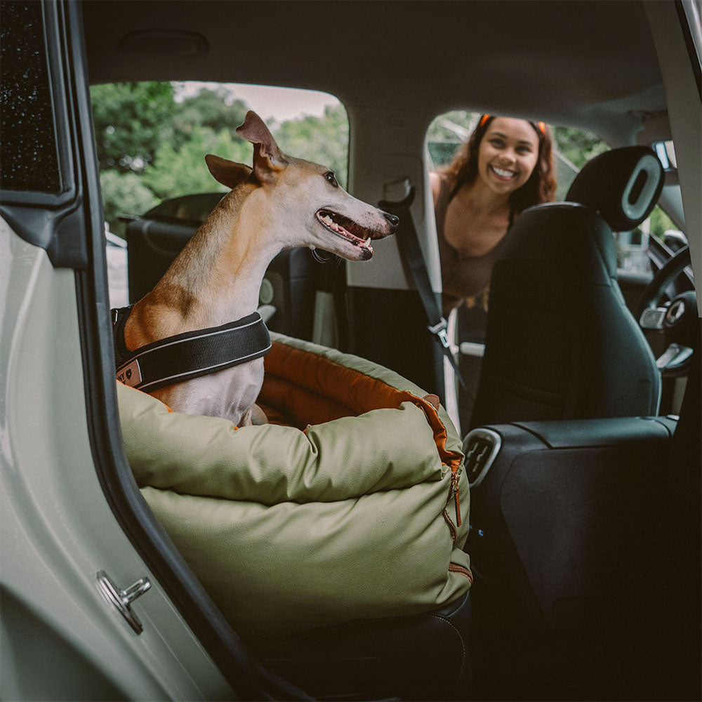 Dog Car Seat Bed Made of Faux Leather - Protection and Comfort