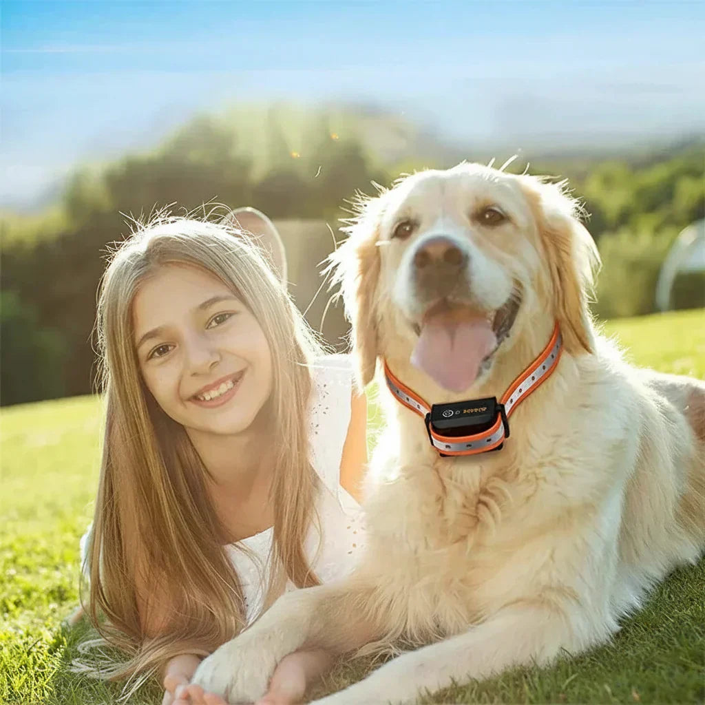 Dog Training Collar with 1000m Range – Black & Orange