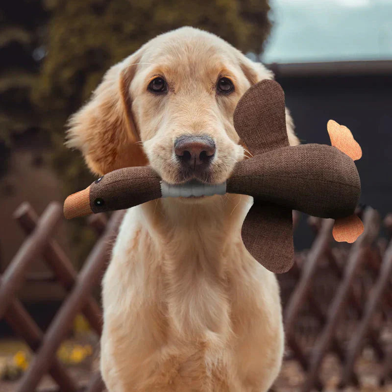 Durable Dog Toy for Dental Care