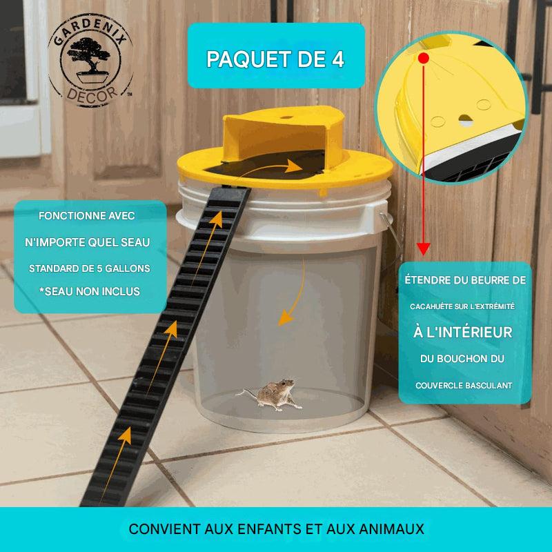 Eco-Friendly Mouse Traps - Bucket Lid Set of 4