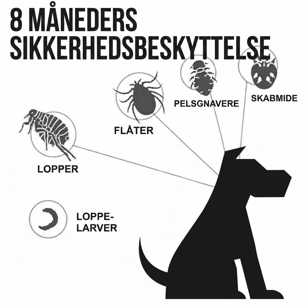 Effective Flea Collar for Cats & Dogs – 8 Months of Protection