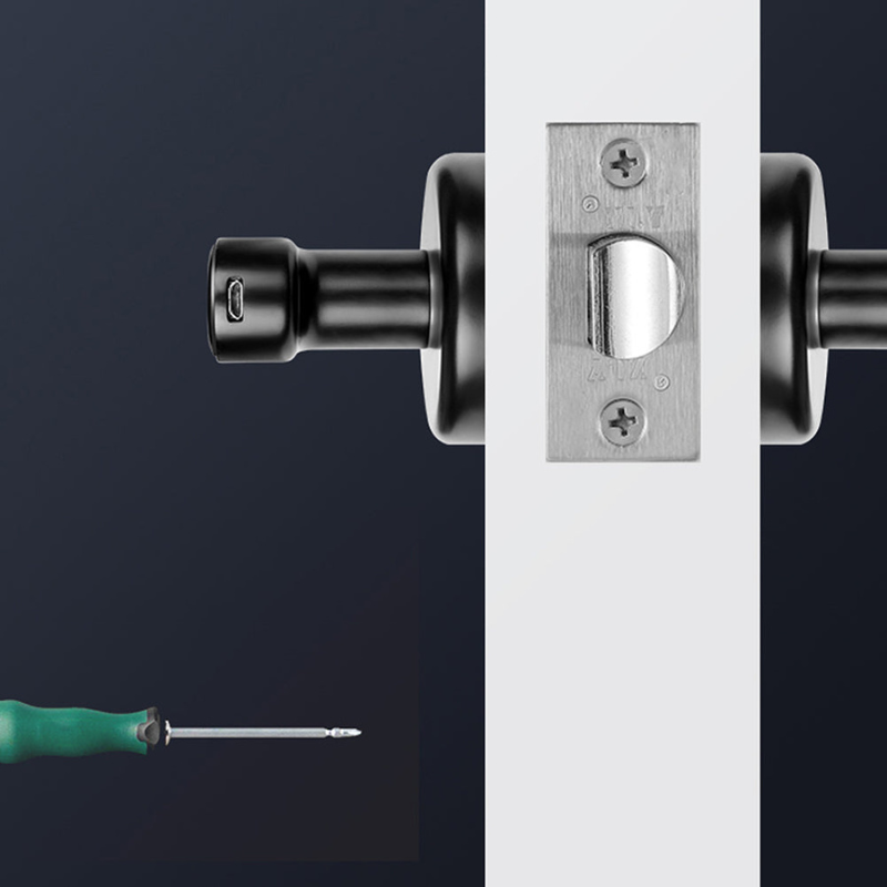 Electronic Room Lock with Fingerprint