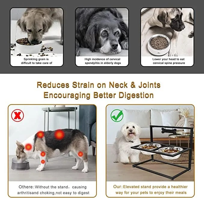 Elevated Dog Bowl with 2 Bowls